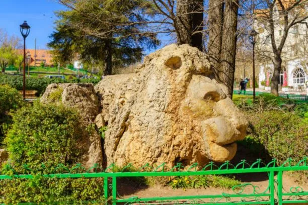 Excursión de un día desde Fez a Ifrane y el bosque de cedros, El mejor viaje a Marruecos desde Fez a Ifrane y las montañas del Atlas Medio.
