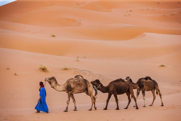 3 días desde Marrakech a Fez por al Desierto, Viaje a Fez 3 días, Excursión de Marrakech a Fez pasando por el desierto sahariano de Merzouga.