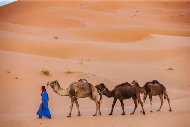 3 días desde Marrakech a Fez por al Desierto, Viaje a Fez 3 días, Excursión de Marrakech a Fez pasando por el desierto sahariano de Merzouga.